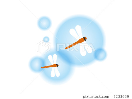 紅蜻蜓 紅蜻蜓 5233639