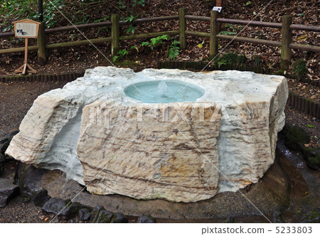 Walking in Mito · Yuzumi Izumi Kairakuen 5233803