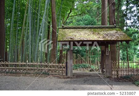 走在Mito·Kido和Moso竹林Kairakuen 5233807