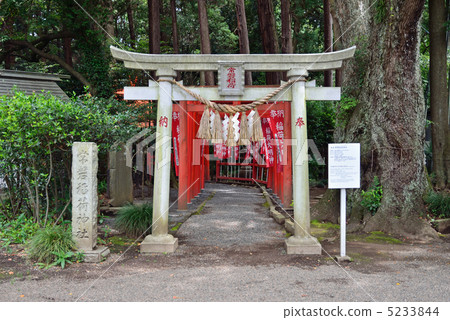 Walking Mito · Tokiwa Inari Shrine Tsubaki Shrine 5233844