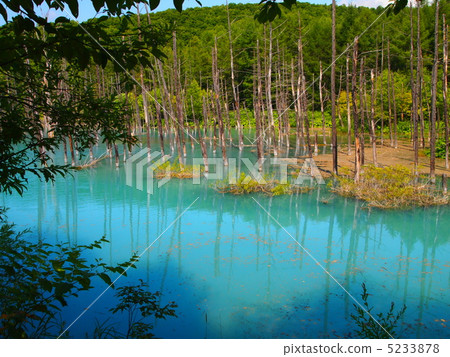 Biei Shirokane Aoi Pond 5233878