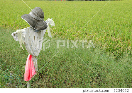 稻草人01 稻草人01 5234052