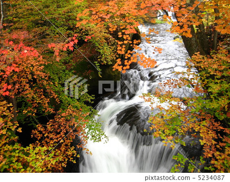 Autumn leaves of the waterfall of Ryuzo, Nikko city, Tochigi prefecture 5234087