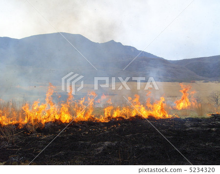 燃燒燒傷 5234320