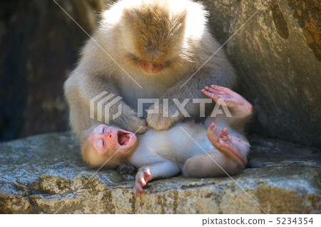 Mother and daughter 5234354