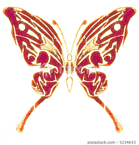 Butterfly  5234633