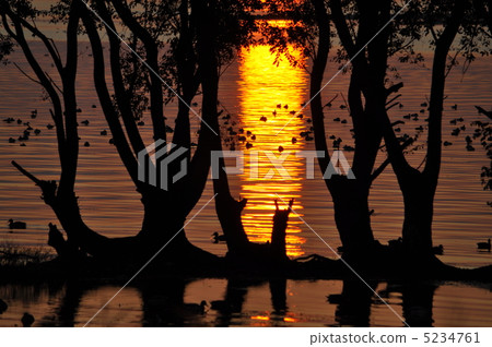 Evening view of Okubi-biwa Evening view of Okubi-biwa 5234761