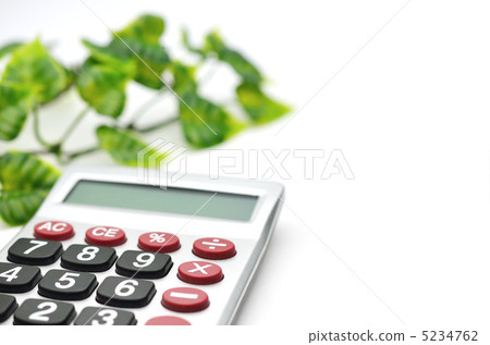 Calculator Silver house plant 5234762