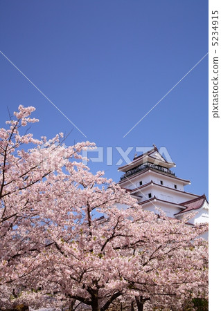 Tsuruga Castle and Sakura Aizuwakamatsu City, Fukushima Prefecture 5234915