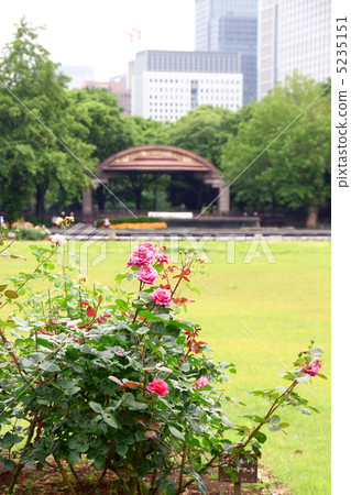 日比谷公園 日比谷公園 5235151