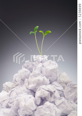 Green seedlings growing out of paper Green seedlings growing out of paper 5236699