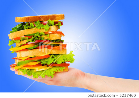 Giant sandwich against gradient background Giant sandwich against gradient background 5237460