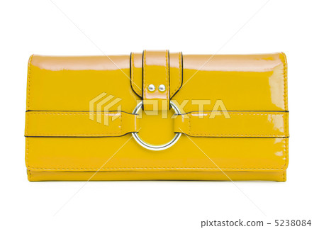 Elegant woman bag on white Elegant woman bag on white 5238084