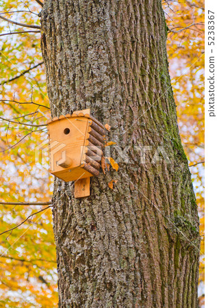 Bird house in autumn forest 5238367