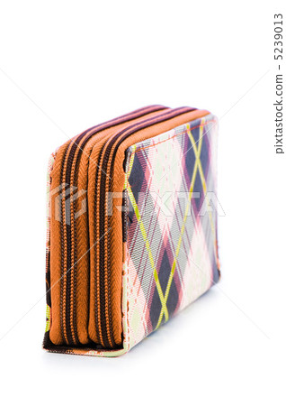 Elegant woman bag on white Elegant woman bag on white 5239013