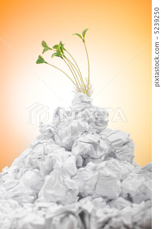 Green seedlings growing out of paper 5239250