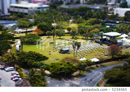 Hawaii miniature shoot Hawaii miniature shoot 5239365