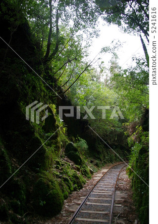 屋久島卡車路 屋久島卡車路 5241616