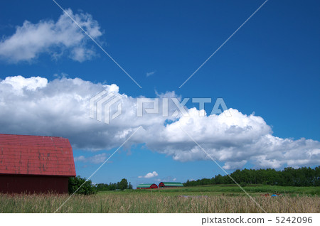 Barn and summer sky 5242096