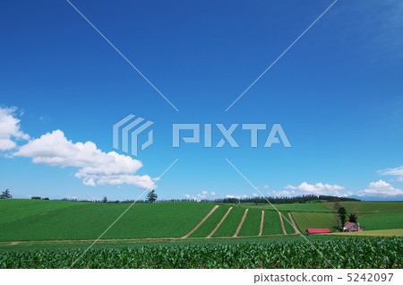 Hill of Biei fairy tale 5242097