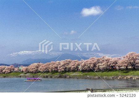 乍一看Senbonzakura和船下降 乍一看Senbonzakura和船下降 5242120