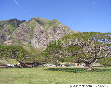 Kualoa Ranch Kualoa Ranch 5242252