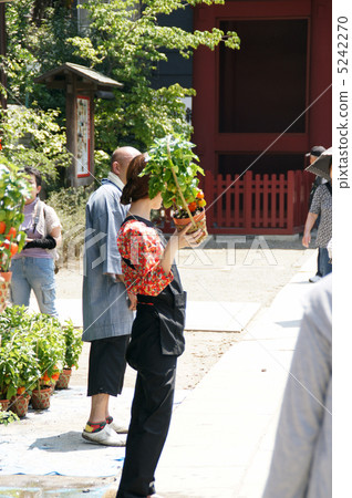 奇克斯市 奇克斯市 5242270