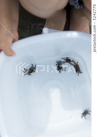 Crab fishing Crab fishing 5242779
