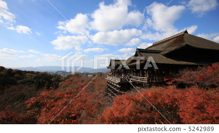 Autumn Shimizu Autumn Shimizu 5242989