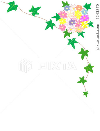 Ivy and flowers 5243870