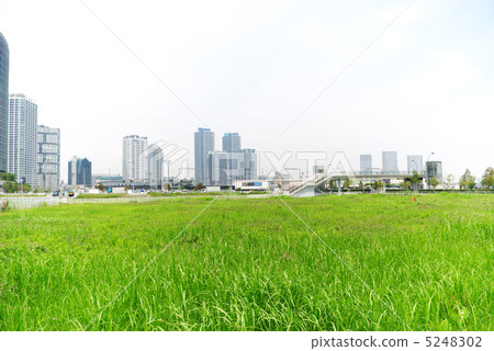 Yokohama Minato Mirai's green vacant land 5248302