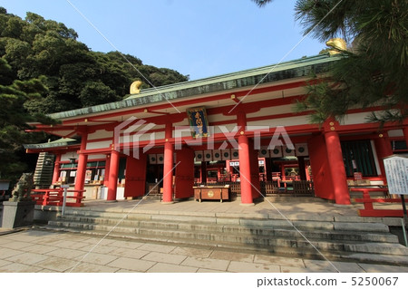 阿卡瑪神社 5250067