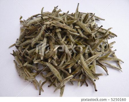 Silver Needle 5250160