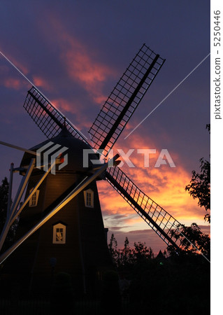 風車和日落 5250446