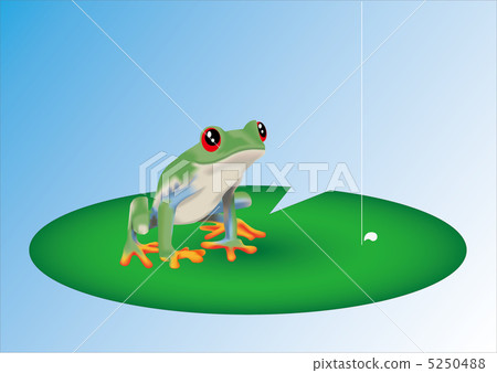Red-eyed Tree Frog 5250488
