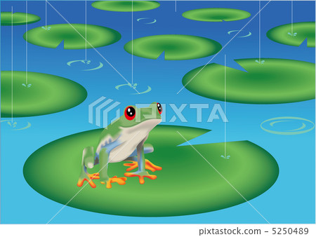 Red-eyed Tree Frog 5250489