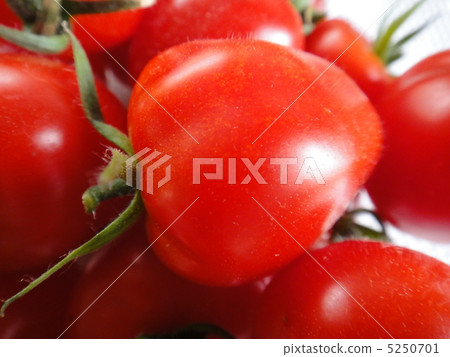 Tomato Berry 5250701