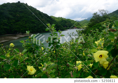 yukashigata的慾望 5250811