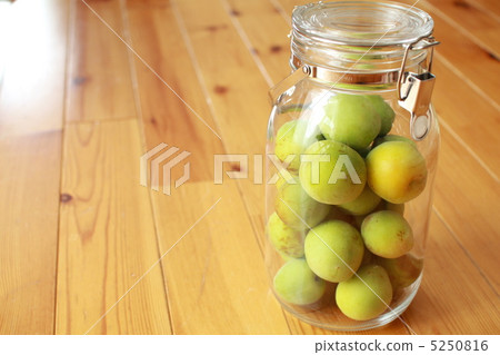 Unripe Nanko plums grown without pesticides in a storage jar 5250816
