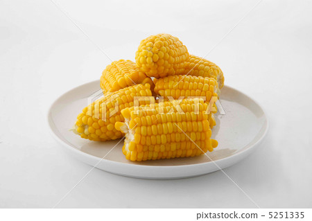 玉米 5251335