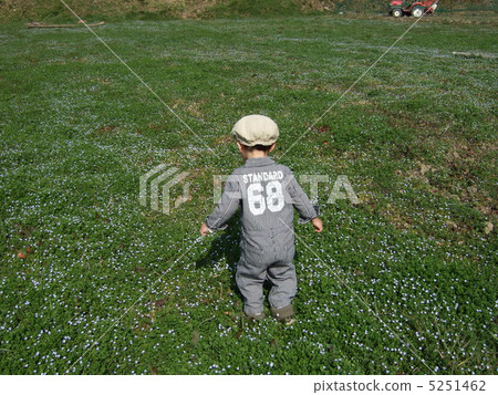 走在田野裡 5251462