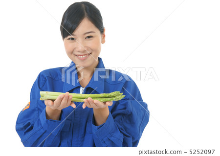 Image of agriculture Image of agriculture 5252097
