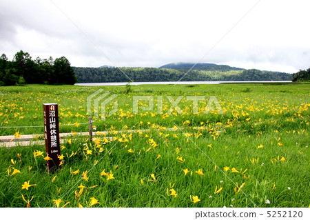 Oze National Park Ozegahara 5252120
