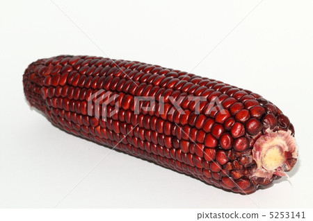 玉米紫色玉米泰國食品成分泰國 5253141