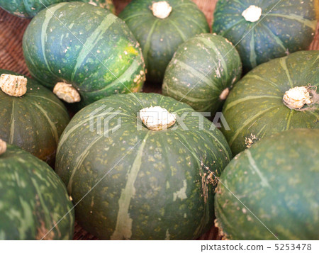 Pumpkin Pumpkin 5253478