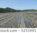 食人魔的洗衣板 5253491