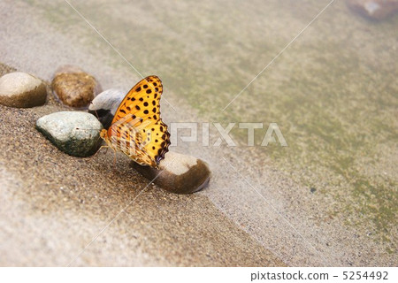 Male and female closure sideways of lateral direction · lateral position Male and female closure sideways of lateral direction · lateral position 5254492