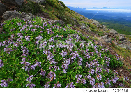 Iwabukuro and the Tokachi dake mountains 5254586