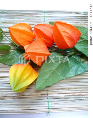 盂蘭盆節圖像 盂蘭盆節圖像 5254732