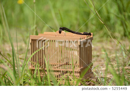 昆蟲籃 5255449